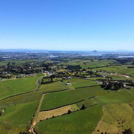 Homewell Tauranga Buitenkant foto